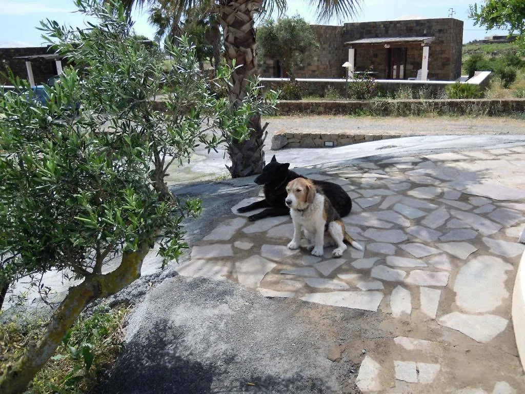 Residenza Degli Ulivi Pantelleria Island Country house